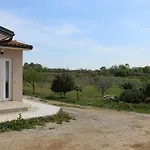 Vacation House \